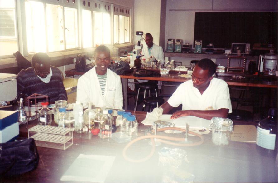 Photo: Trainees in a lab session