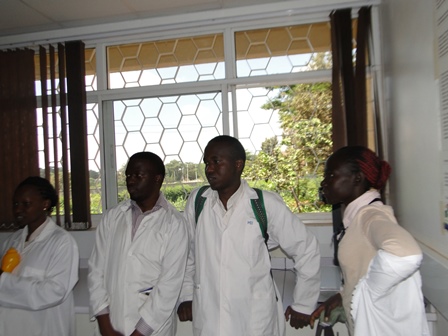Photo: CEBIB postgraduates in African Reference Lab for Bee Health, ICIPE 