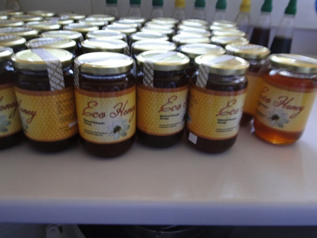 Photo: Honey products in African Reference Lab for Bee Health, ICIPE 