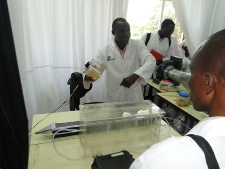 Photo: A research scientist , underscores a point to CEBIB postgraduates, African Reference Lab for Bee Health, ICIPE 