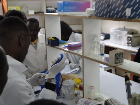 Photo: Visiting BSc Biochemistry students engaged in practical session, CEBIB molecular biology lab