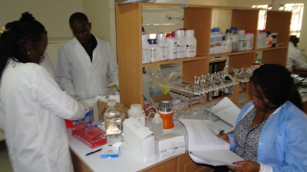 Photo: CEBIB Mycology lab; Aflatoxin testing accredited